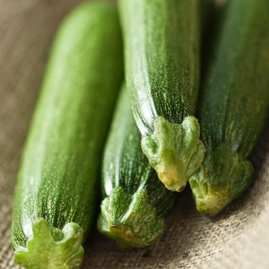 ForhookZucchini